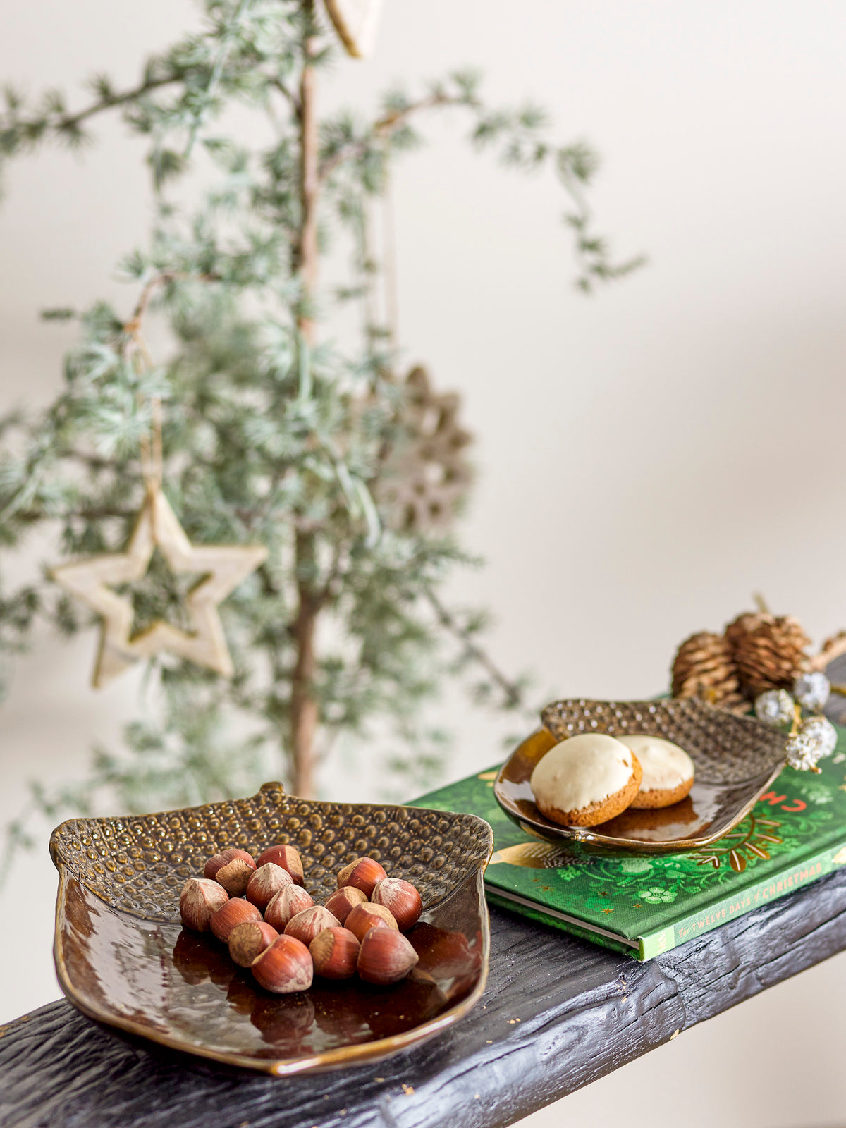 Schale Eicheln | braun