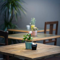 Espressotasse | Aqua