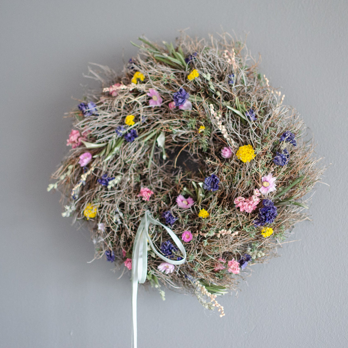 Kranz  Euphorbia Spinosa