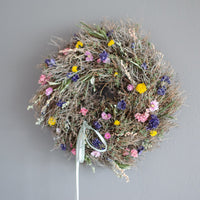 Kranz  Euphorbia Spinosa