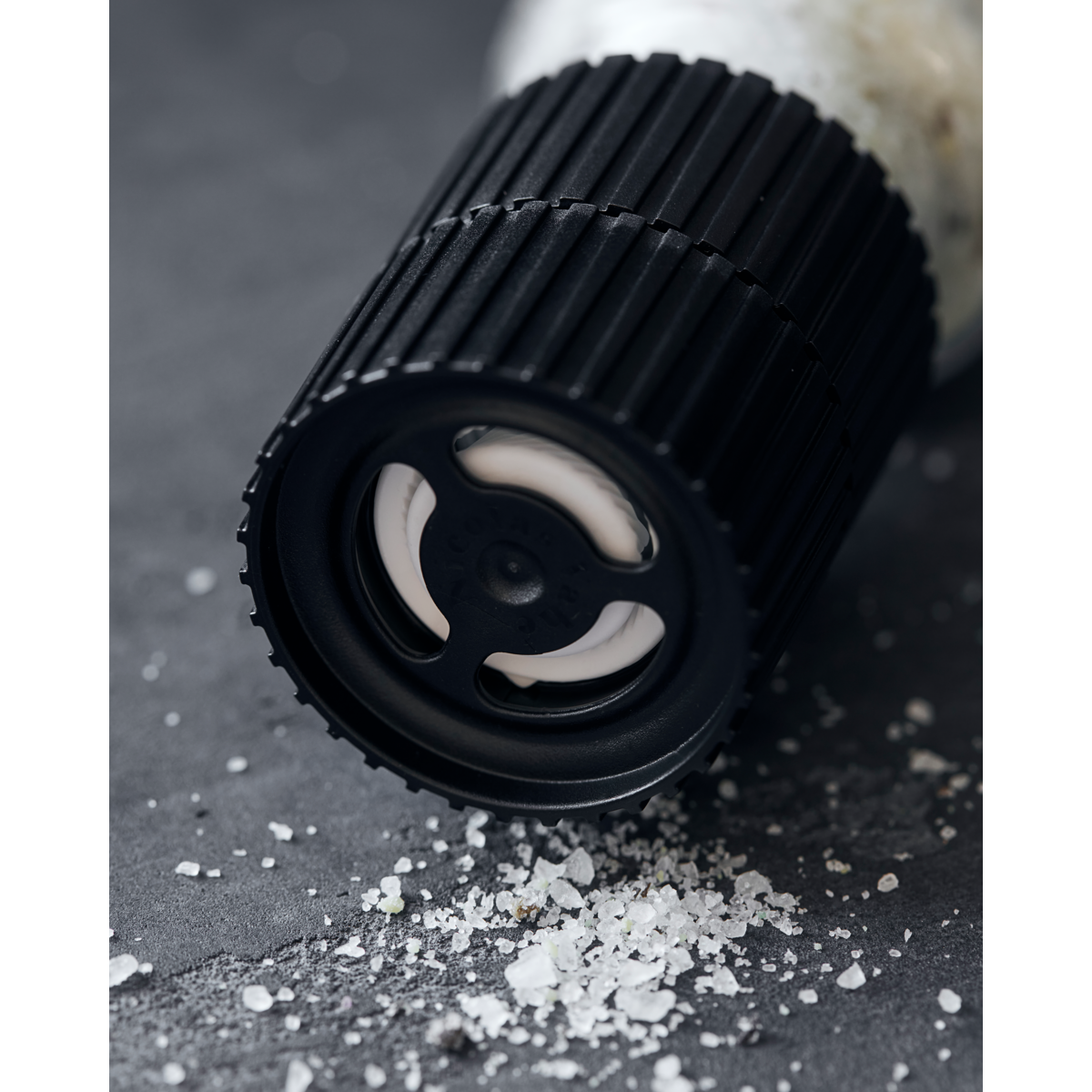 Salz | Parmesan cheese & basil