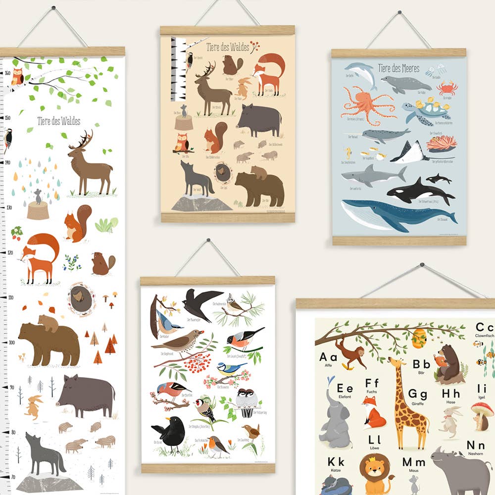 ABC Poster Tieralphabet Din B2