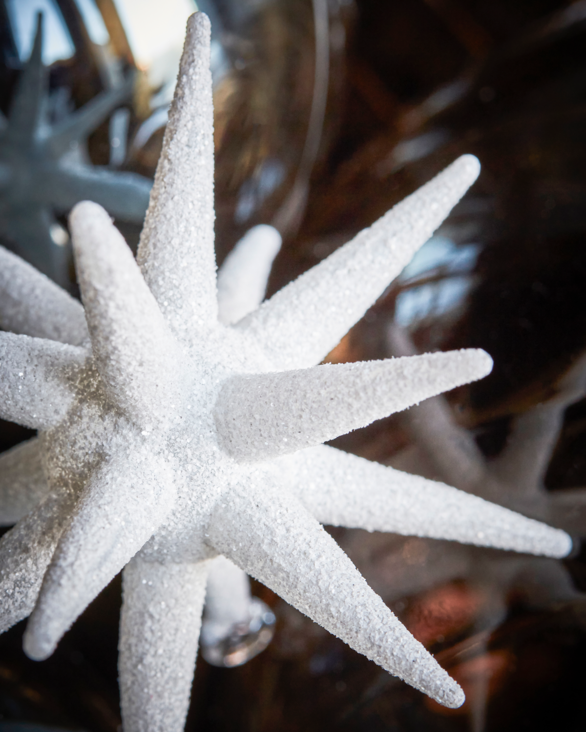 Weihnachtsschmuck Sterne, 4er Set Weiss
