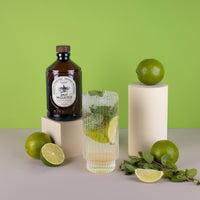 Bio Mojito Sirup