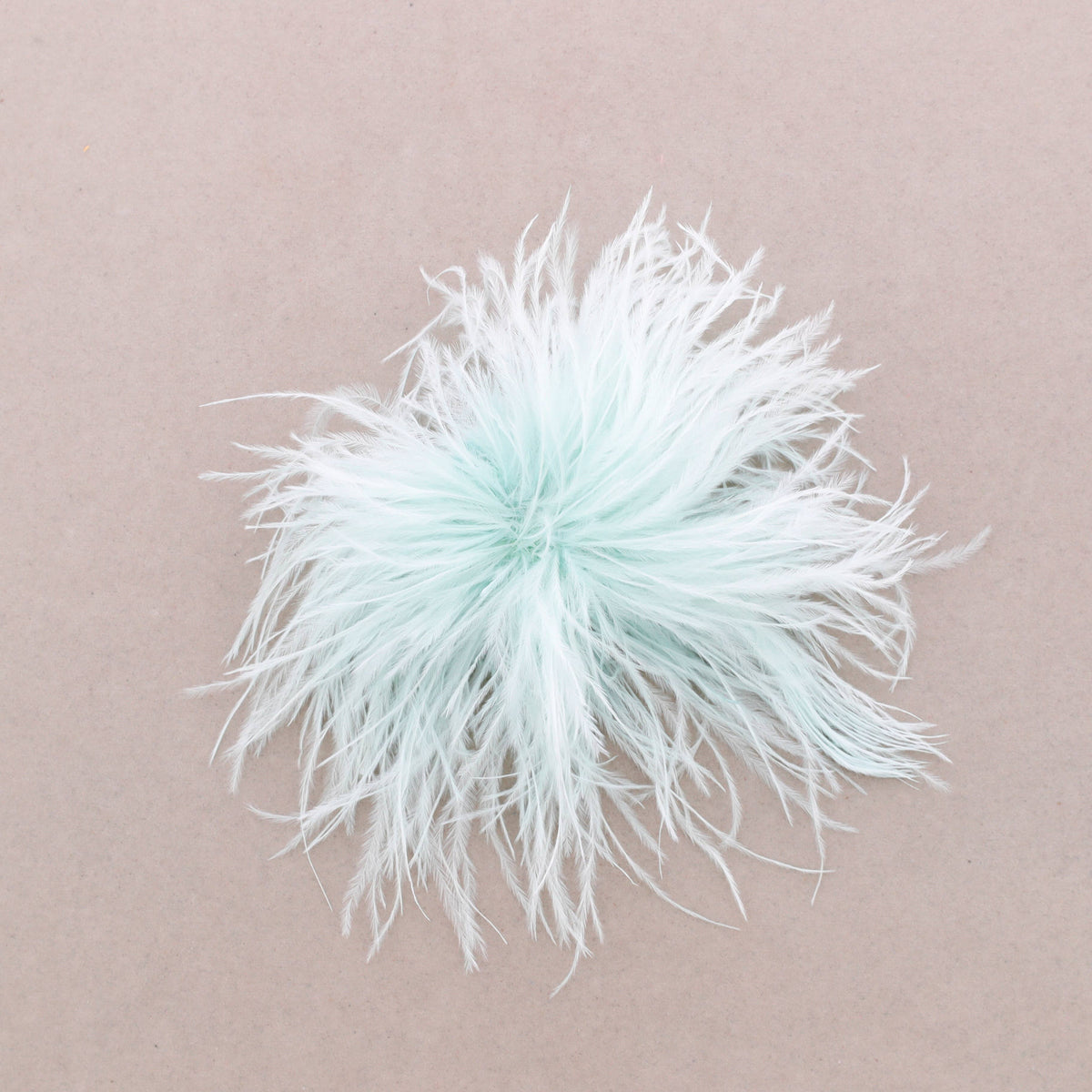 Straußenfeder-Brosche, Aqua