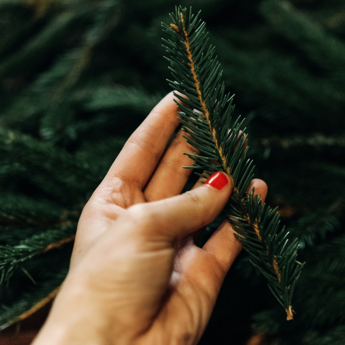 Adventskranz Atelier Workshop Stilarten